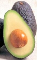 Avocado pittenolie