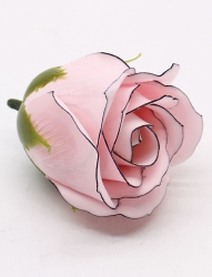 Zeepbloem Roos rose