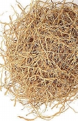 Vetiver absolue